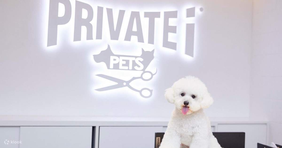 Private dog new arrivals groomers